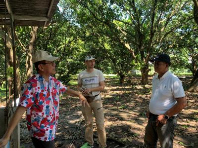 Field exchanges between the researchers and a mango contractor in the Bataan province. © E  Faye
